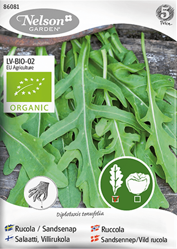 Ruccola - Diplotaxis tenufolia, Organic