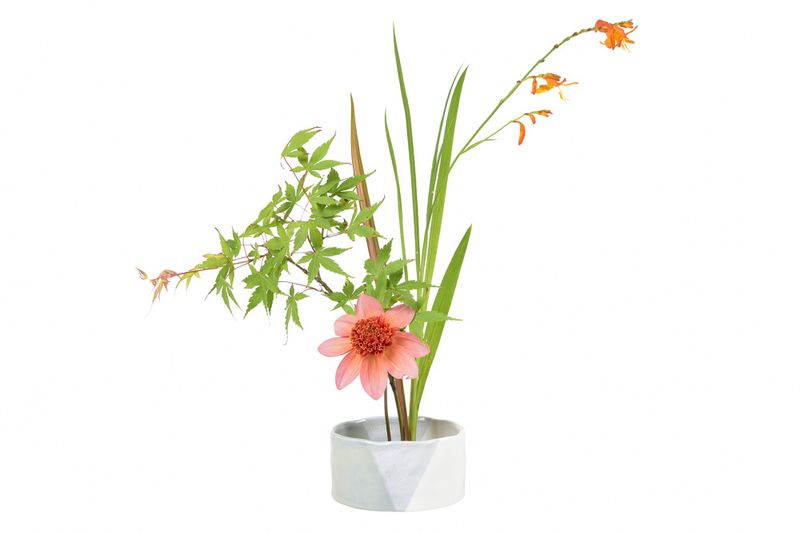 Ikebanaskål med Ikebana / Kenzan