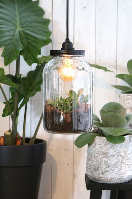 Hovedbilde Terrarium, hengende med lys