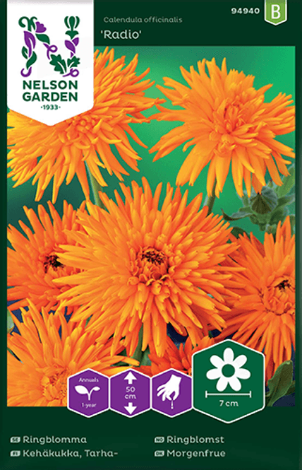 Hovedbilde Ringblomst 'Radio' - Calendula officinalis