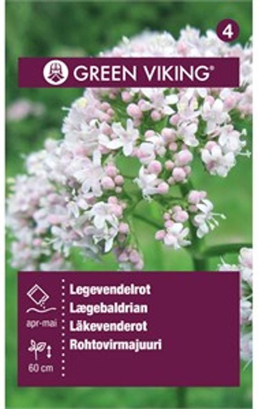 Legevendelrot - Valeriana officinalis