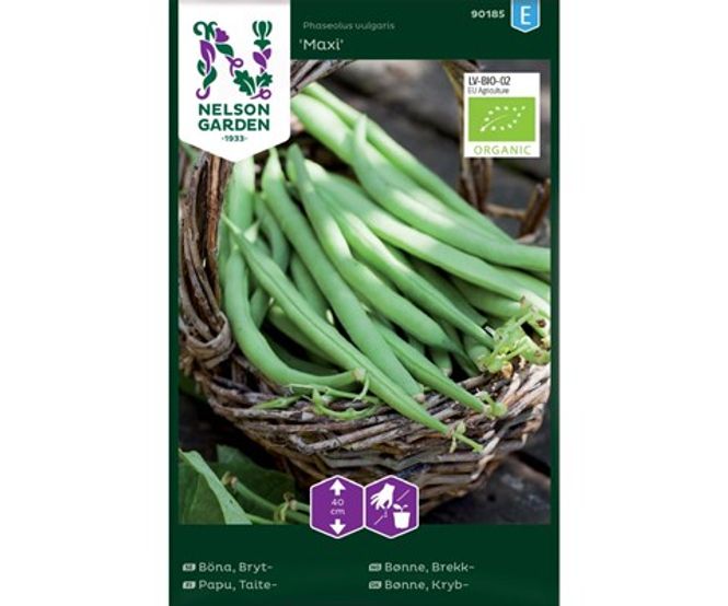 Hovedbilde Brekkbønne 'Maxi' - Organic