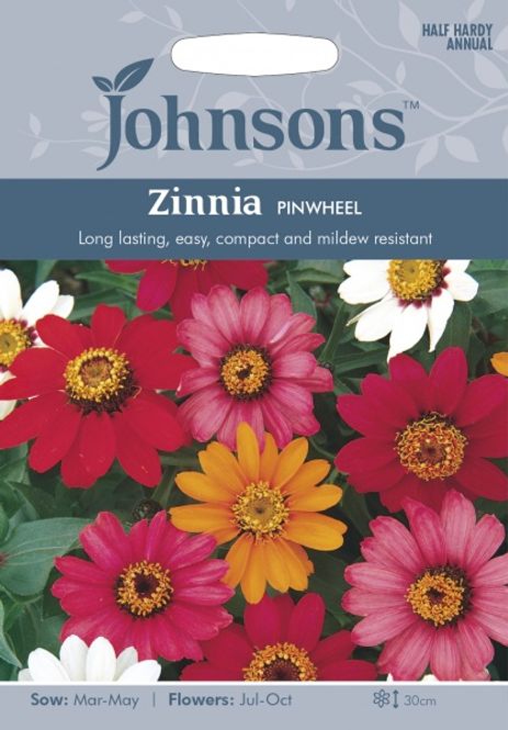 Hovedbilde Sinnia 'Pinwheel' - Zinnia elegans