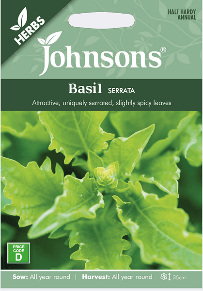 Hovedbilde Basilikum 'Serrata' - Ocimum basilicum