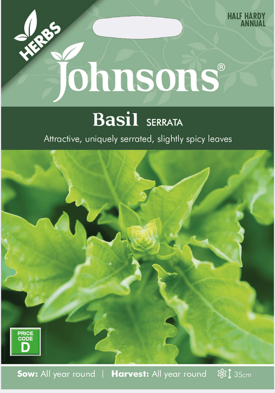 Basilikum 'Serrata' - Ocimum basilicum