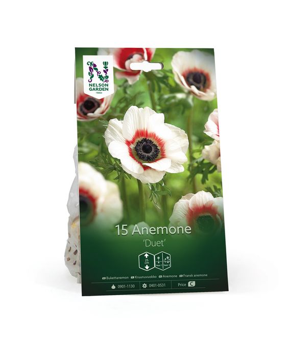 Hovedbilde Kronsymre 'Duet' - Anemone coronaria, 10 stk.