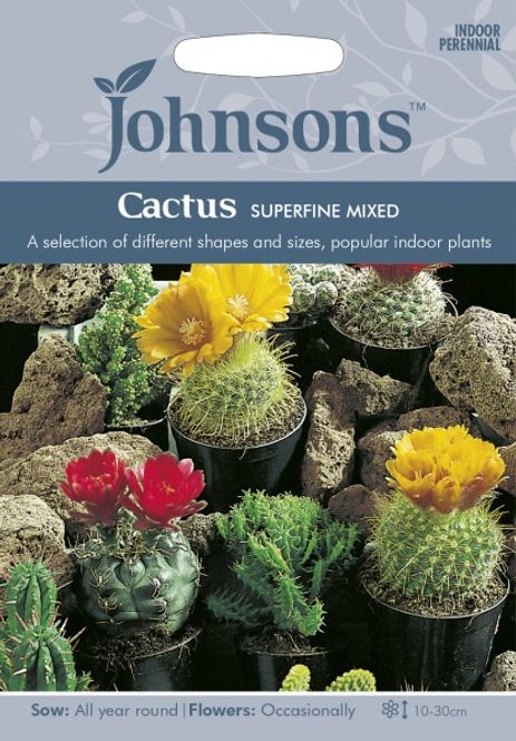 Hovedbilde Kaktus 'Superfine Mixed'