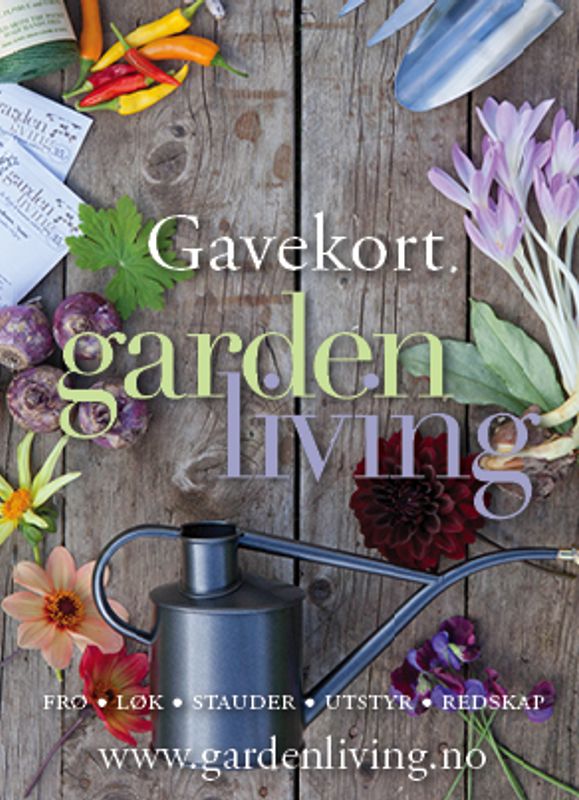 Gavekort