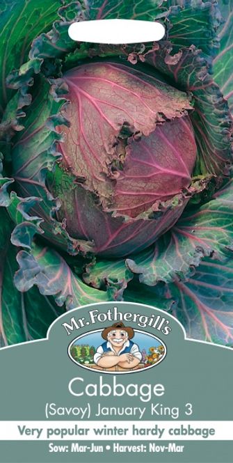 Hovedbilde Savoikål 'January King 3' - Brassica oleracea var. sabauda