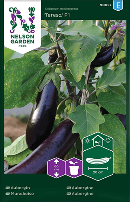 Hovedbilde Aubergine 'Teresa' F1 - Solanum melongena