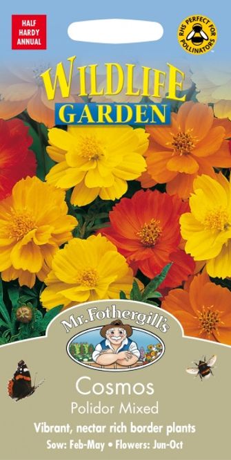 Hovedbilde Gullkosmos 'Polidor Mixed - Cosmos sulphureus