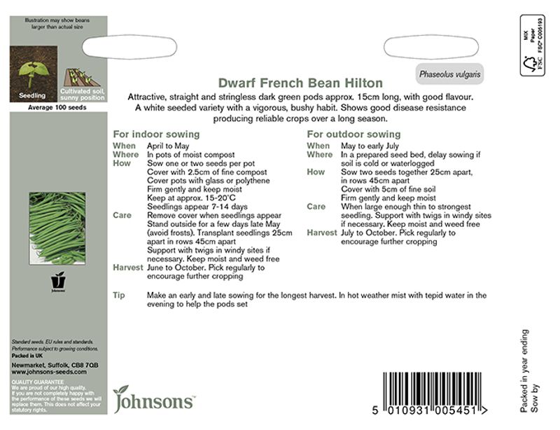 Dvergaspargesbønne 'Hilton' - Phaseolus vulgaris