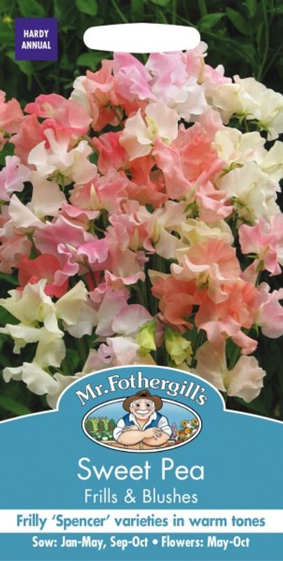 Blomsterert 'Frills and Blushes’ - Lathyrus odoratus