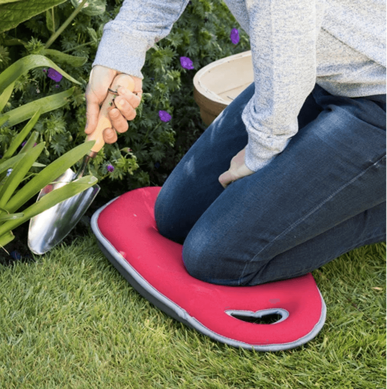 Knelepute, Kneelo® – turkis