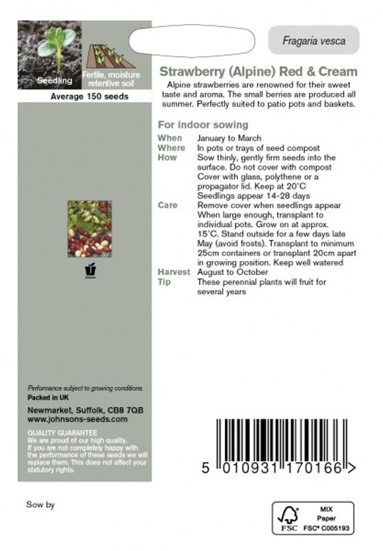 Markjordbær 'Red & Cream' - Fragaria vesca