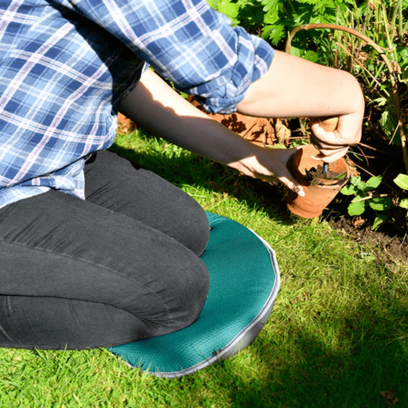 Knelepute, Kneelo® – Evergreen