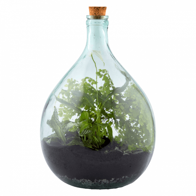 Hovedbilde Terrarium, 15 L med håndredskap