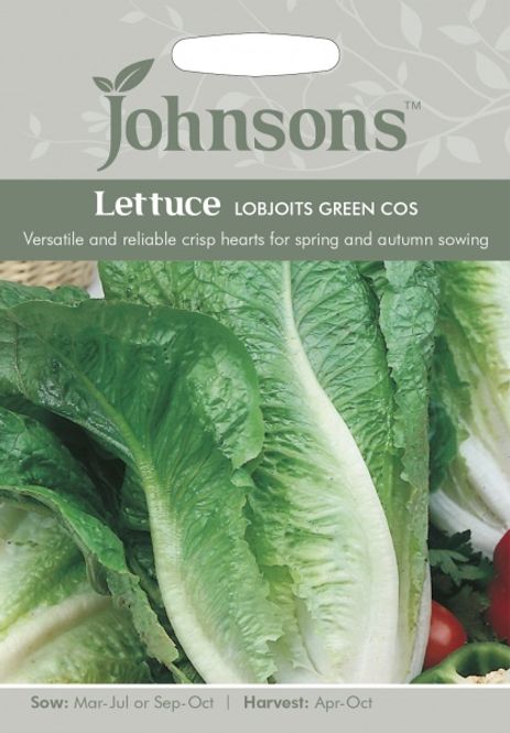 Hovedbilde Romanosalat 'Lobjoits Green Cos' - Lactuca
