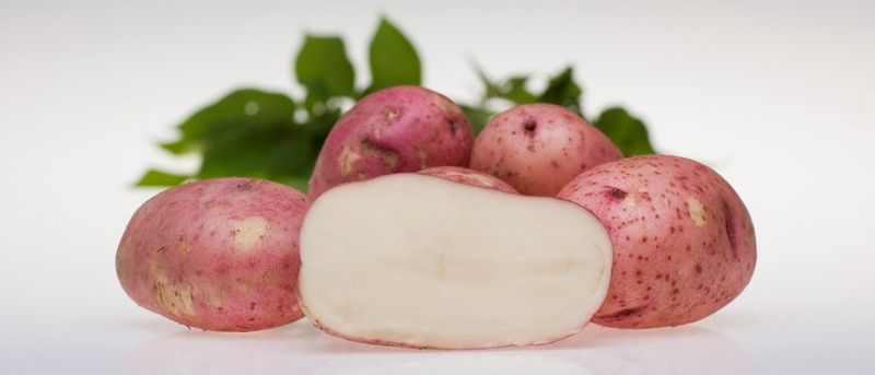 Settepotet, sen 'Beate' 1 kg