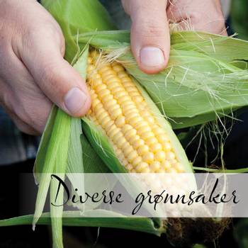Hovedbilde Diverse grønnsaker