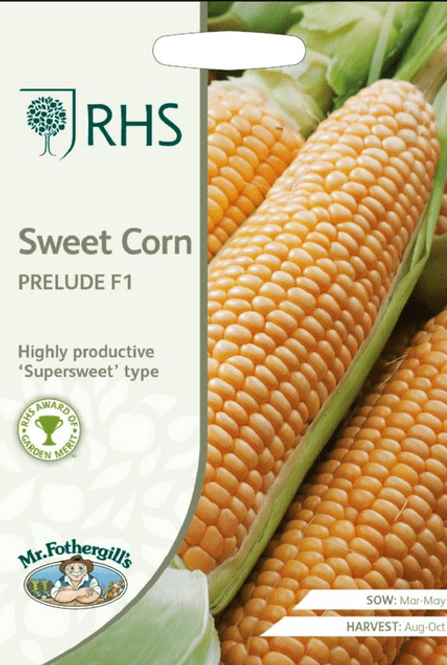 Hovedbilde Mais 'Prelude' F1 - Zea mays