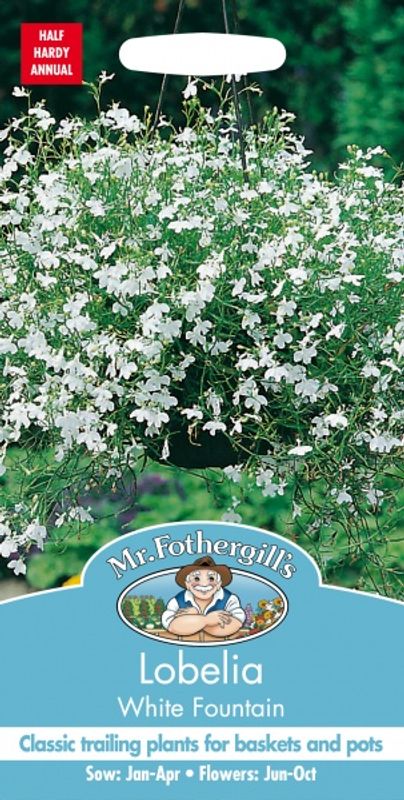 Lobelia 'White Fountain’ - Hengelobelia