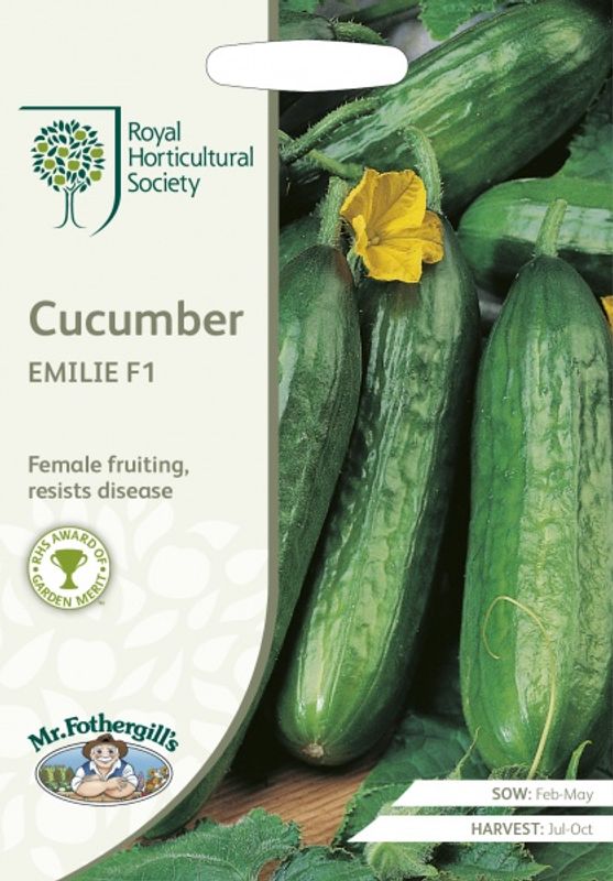 Slangeagurk 'Emilie’ F1 - Cucumis sativus
