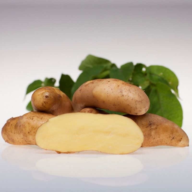 Settepotet, halvsen/sen 'Mandel' 1 kg
