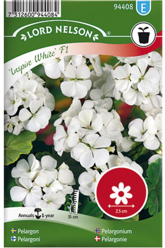 Pelargonium 'Inspire White' F1