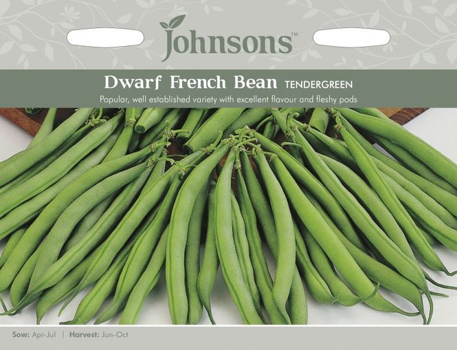 Hovedbilde Dvergaspargesbønne 'Tendergreen' - Phaesolus vulgaris