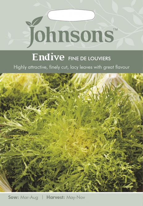 Hovedbilde Sikorisalat 'Fine de Louviers' - Chicorium endivia