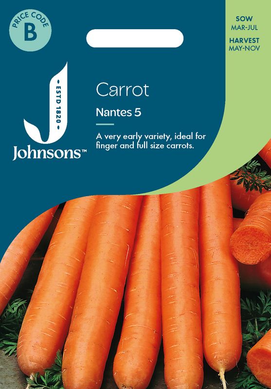 Gulrot 'Nantes 5' - Daucus carota 