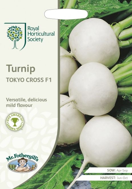 Hovedbilde Nepe 'Tokyo Cross' F1 - Brassica rapa var. rapifera
