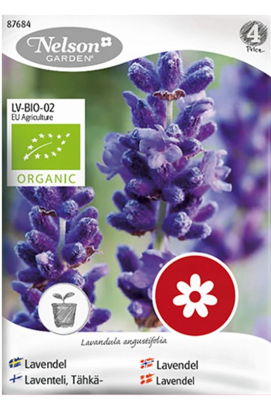 Lavendel - Lavandula angustifolia - Organic