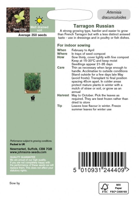 Russisk estragon - Artemisia dracunculoides