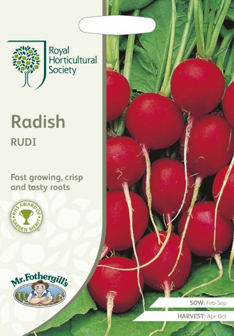 Hovedbilde Reddik 'Rudi’ - Raphanus sativus