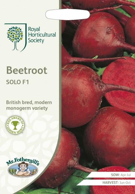 Hovedbilde Rødbete 'Solo' - Beta vulgaris