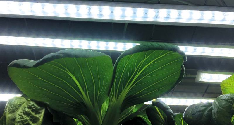 LED-lys No.2 påbygglist 85 cm, 23W