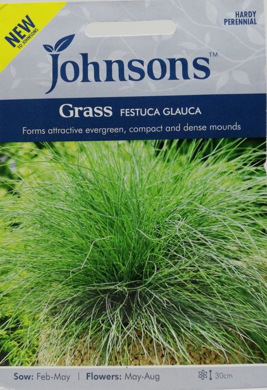 Blåsvingel - Festuca glauca
