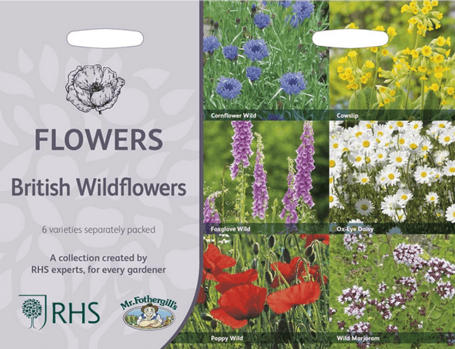 Hovedbilde Britisk villblomstkolleksjon