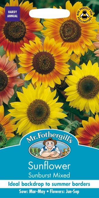 Hovedbilde Solsikke 'Sunburst Mixed'- Helianthus annuus