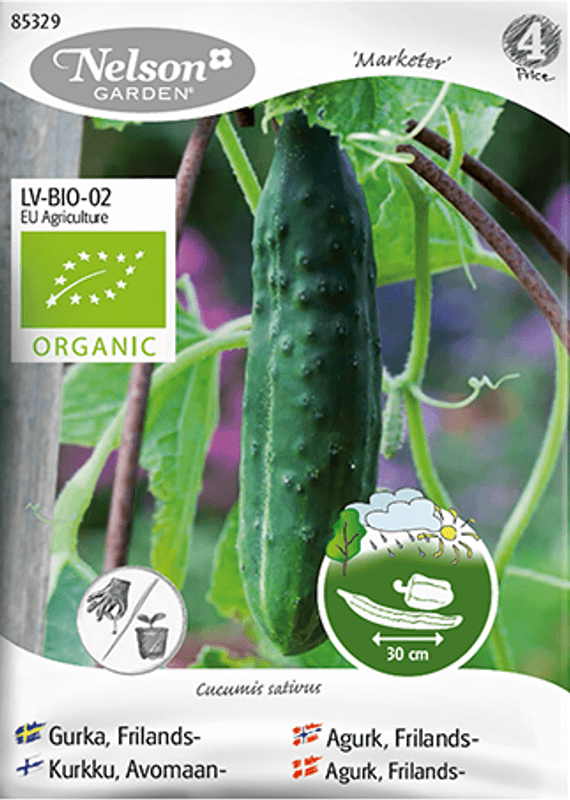 Slangeagurk 'Marketer' - Cucumis sativus, Organic