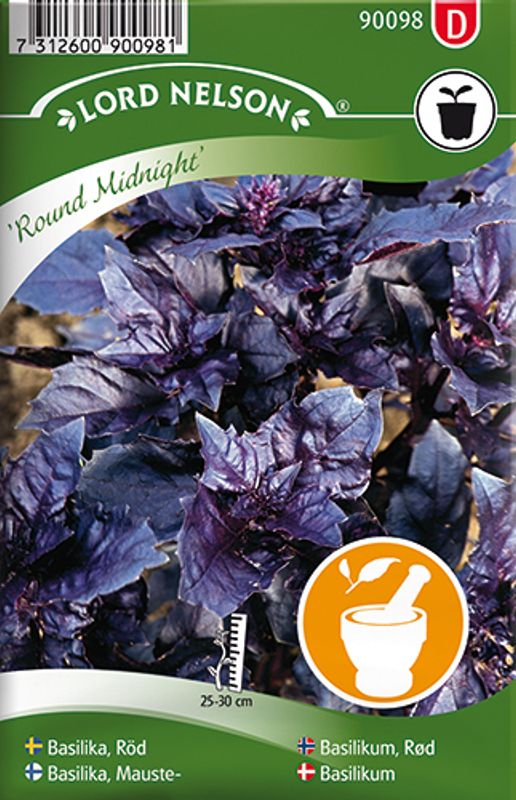 Basilikum 'Round Midnight' - Ocimum basilicum, Rød