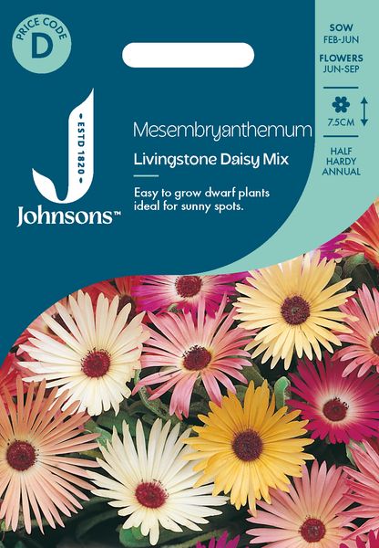 Hovedbilde Middagsblomst 'Livingstone Daisy Mixed' - Mesembryanthemum ...