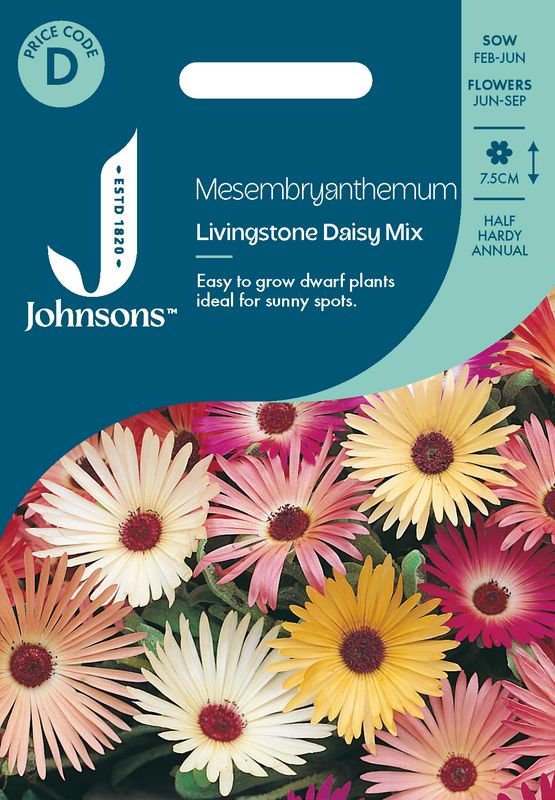 Middagsblomst 'Livingstone Daisy Mixed' - Mesembryanthemum crini