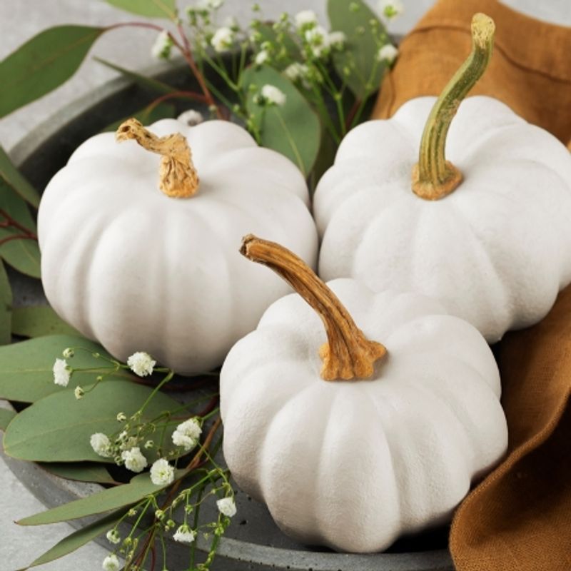 Gresskar 'Casperita’ F1 - Cucurbita