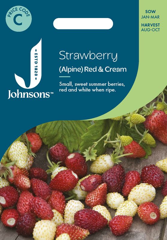 Markjordbær 'Red & Cream' - Fragaria vesca