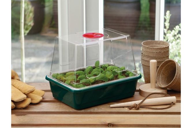 Hovedbilde Minidrivhus med hull - 23 cm