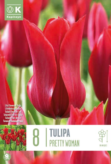 Hovedbilde Tulipan 'Pretty Woman', Llljeblomstrende - 8 stk