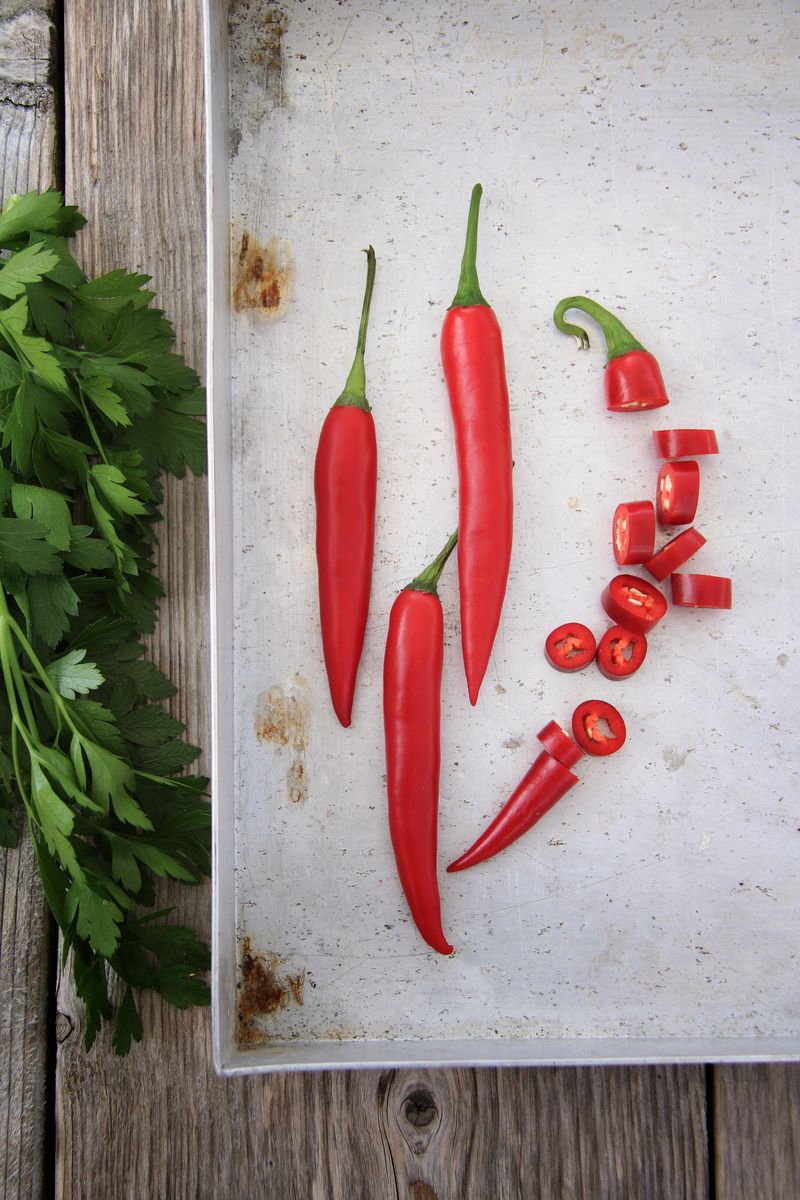 Chilipepper 'Damián' - Capsicum annuum